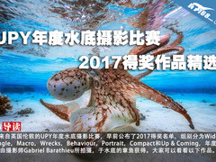 UPY年度水下摄影比赛2017得奖作品精选