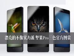 漂亮的不像实力派 坚果Pro三色官方图赏