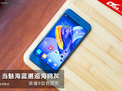 荣耀9双色图赏：当魅海蓝邂逅海鸥灰