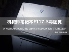 感受幽灵的美 机械师笔记本F117-S毒图