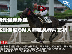 创作最佳伴侣 索尼GM大师镜头样片赏析