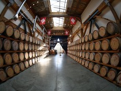 极限视角 尼康8-15mm 鱼眼镜头样张图赏