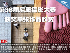 第36届尼康摄影大赛 获奖单张作品欣赏