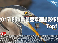 Flickr 2017年度最受欢迎摄影作品Top15