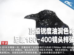 顶级锐度油润色彩 尼康180-400镜头样张
