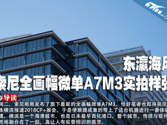 东瀛海风 索尼全画幅微单A7M3实拍样张