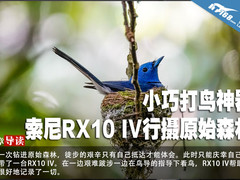 小巧打鸟神器 索尼RX10 IV行摄原始森林
