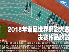 2018年索尼世界摄影大赛 决赛作品欣赏