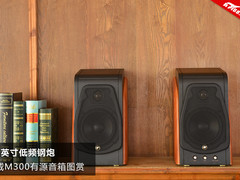 6.5英寸低频钢炮 惠威M300有源客厅音箱