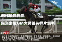 创作最佳伴侣 索尼GM大师镜头样片赏析
