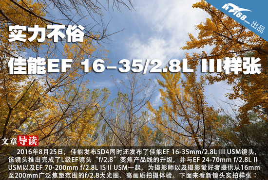 实力不俗 佳能EF 16-35/2.8L III样张