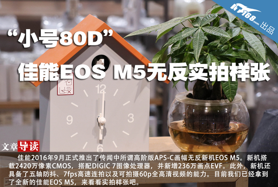 “小号80D” 佳能EOS M5无反实拍样张