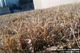 Xperia Z L36h Find 5 iPhone5 �Ա�