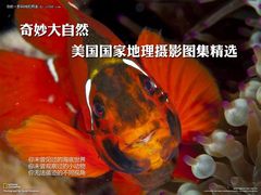 奇妙大自然 美国国家地理摄影图集精选