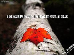 《国家地理杂志》历年最佳壁纸全放送