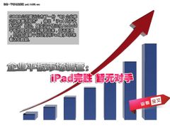 企业平板市场调查：iPad完胜暂无对手 