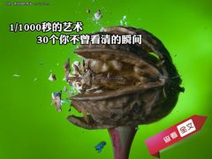 1/1000秒的艺术 30个你不曾看清的瞬间