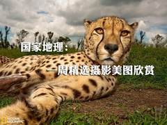 国家地理：一周精选震撼的摄影美图欣赏