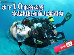水下10米的欢腾 拿起相机和鱼儿零距离