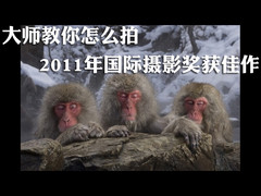 大师教你怎么拍 2011国际摄影奖获佳作