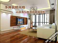 多种装修风格 48款客厅电视背景墙赏析