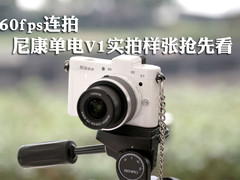 60fps连拍 尼康单电V1实拍样张抢先看
