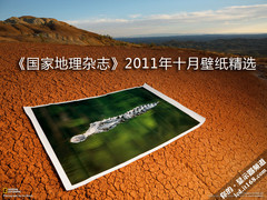 《国家地理杂志》2011年十月壁纸精选