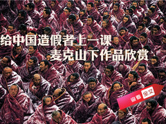 给中国造假者上一课 麦克山下作品欣赏