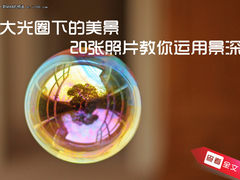 大光圈下的美景 20张照片教你运用景深