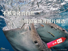 一周国家地理图片精选 不断变化的自然