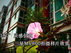 180°灵感创意 三星MV800拍摄样片欣赏