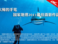 大师的手笔 国家地理2011最佳作品精选