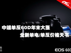 中端单反60D年末大涨单电/单反价格天书