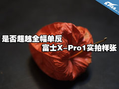 是否超越全幅单反 富士X-Pro1实拍样张