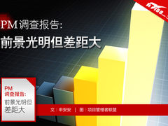 2012新白领十项标准IT经理难达薪资标准