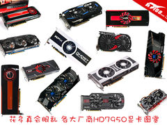 花多真会眼乱 各大厂商HD7950显卡图赏