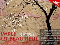 简单之美 国家地理经典极简摄影作品赏