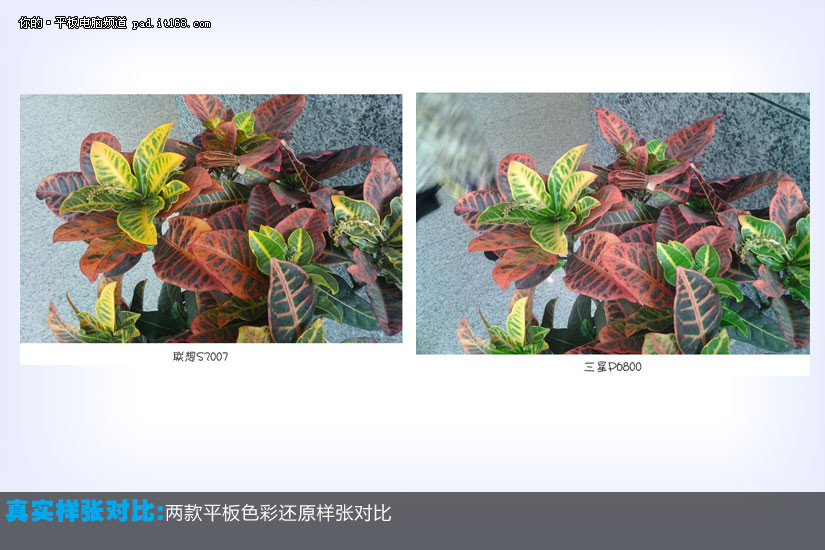 ������ǿ�Ծ� ����P6800 VS ��PadS2007