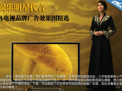 娱乐明星代言 电视品牌广告效果图精选
