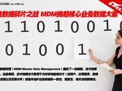 决胜数据碎片之战 MDM挑起核心数据大梁