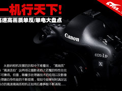 一机行天下 高速高画质单反/单电大盘点