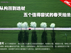 从构图到选材 五个值得尝试的春天拍法