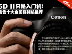 5D II只是入门 市售十大全画幅相机推荐