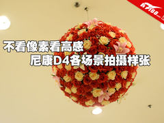 不看像素看高感 尼康D4各场景拍摄样张