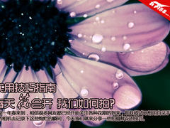 春天花会开 我们如何拍？实用技巧指南