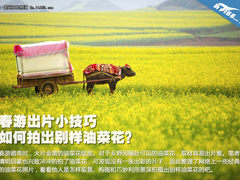 春游小技巧 三招如何拍出别样油菜花？