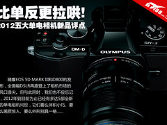 比单反更拉哄 2012年五大单电新品评点