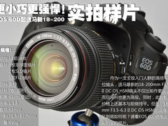 更小更强 EOS 60D配适马新款18-200实拍