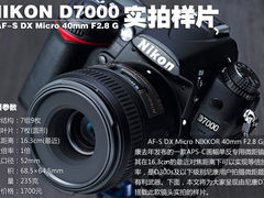 微距利器 尼康40mm F2.8 Micro实拍样片