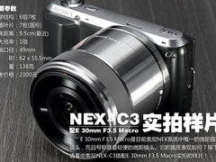 NEX用户首选 索尼30/3.5 Macro实拍样片